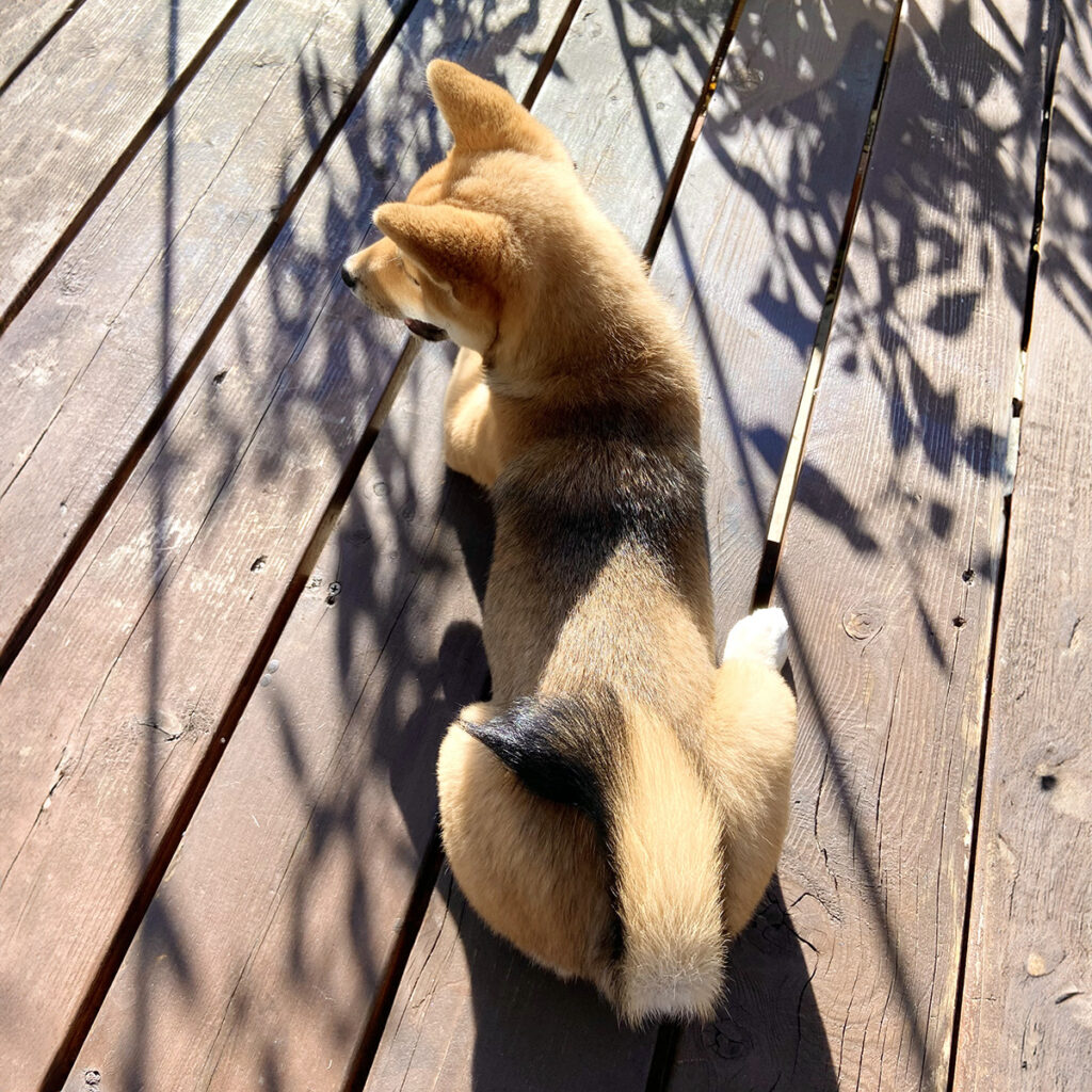 ウッドデッキで一休み