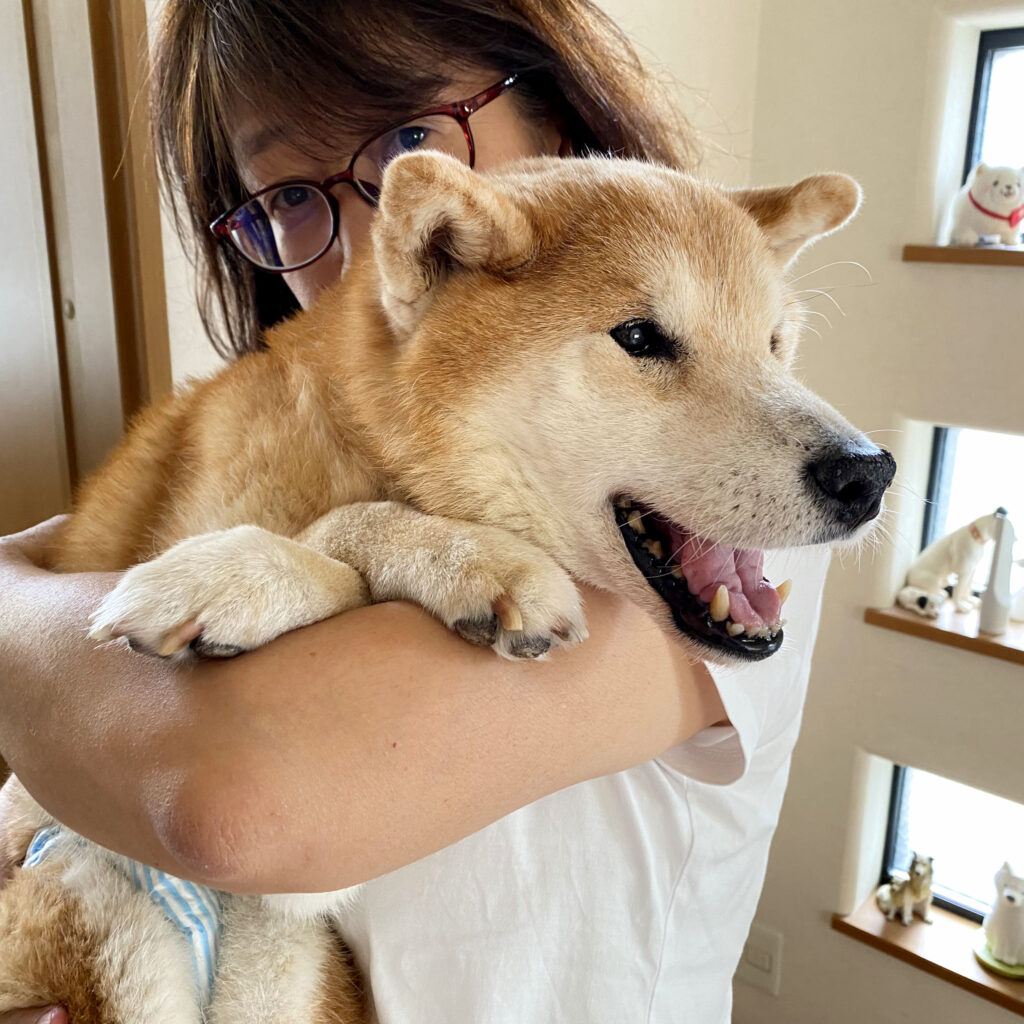 昨年の今頃も暑くて、ちょっとしんどそうだけど、きれいなお顔のリオばあさん