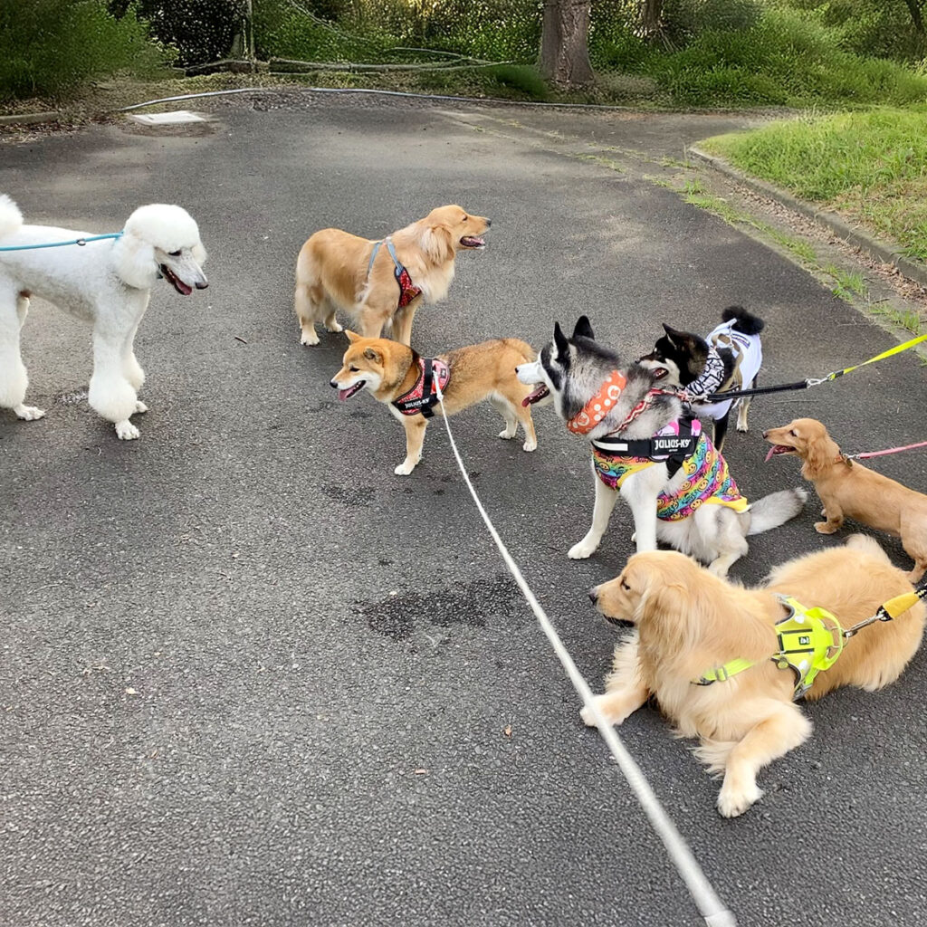 お友達が揃った時の写真