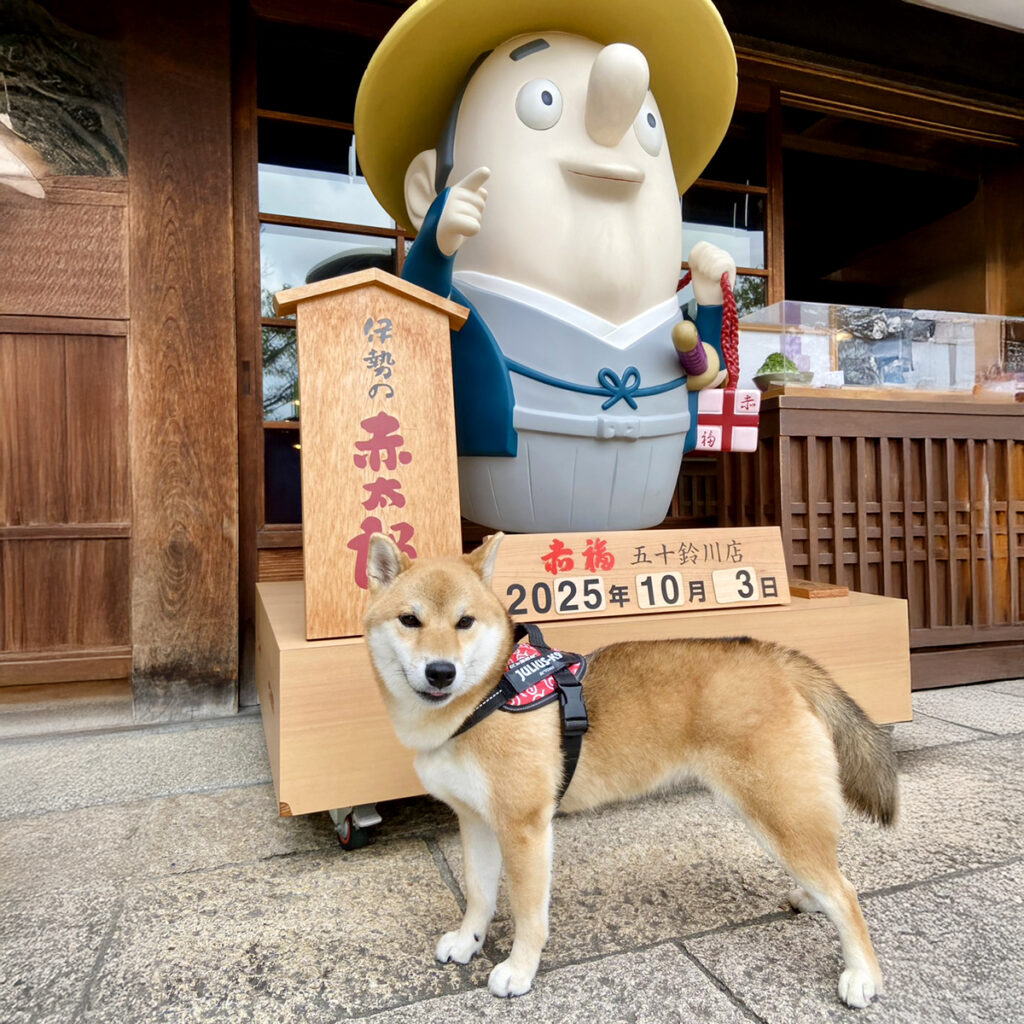 赤太郎とキクちゃん(※リードは画像処理で消してます）