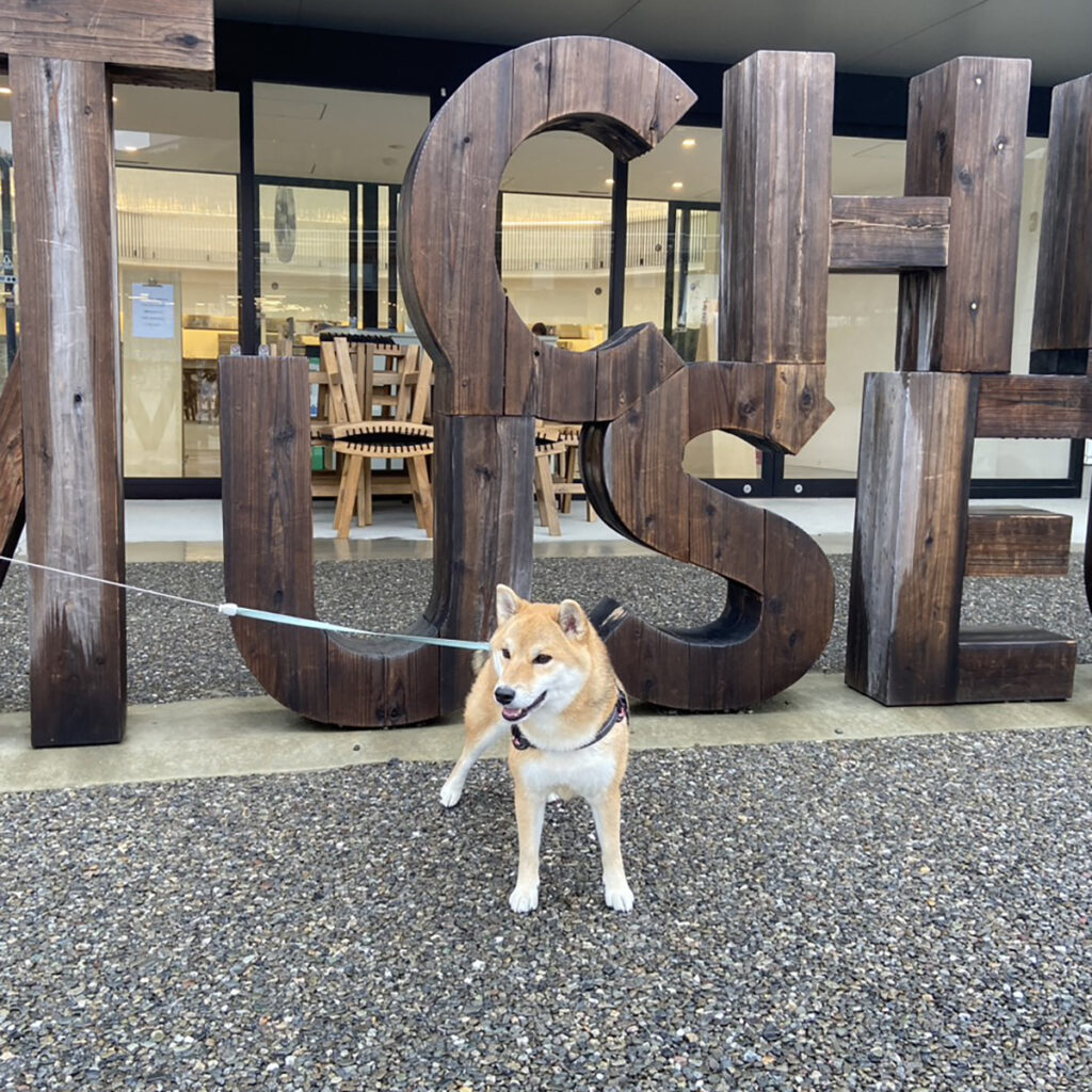 VISONにて